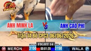 Trận 14 CPC3 Ngày 06/06/2026 Tại Vua Gà AZ