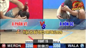 Trận 15 CPC2 08/06/2026 - Gà Điều Anh Phán Đá Đúng 1 Chân Cựa Hiểm