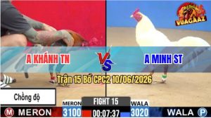 Trận 15 CPC2 10/06/2026 - Gà Điều Anh Khánh Chồng Độ Lên Lớp Quá Hay