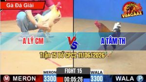 Trận 15 CPC2 11/06/2026 - Gà Úa Anh Lý Gồng Gánh Đá Phản Ăn 2