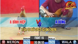 Trận 15 CPC2 13/06/2026 - Gà Cú Anh Bình Hiệp Đá Xanh Hết Đường Binh