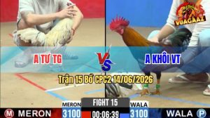 Trận 15 CPC2 14/06/2026 - Gà Anh Tư Đá Canh Chặn Khôn Như Người Ta