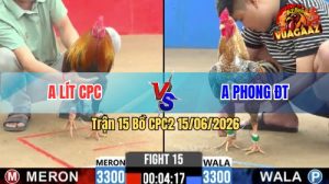 Trận 15 CPC2 15/06/2026 – Gà Điều Anh Lít Đá Chân Nào Cũng Có Cựa