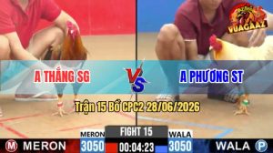Trận 15 CPC2 28/06/2026 – Anh Thắng SG Thành Công Hạ Anh Phương ST