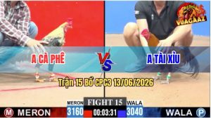 Trận 15 CPC3 13/06/2026 - Gà Khét Anh Tài Xỉu Đá Đâm Thấy Nóng Lạnh