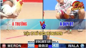 Trận 15 CPC3 18/06/2026 – Điều Cọp Anh Nu Đá Đâm Toàn Cựa Hiểm