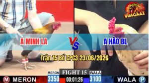 Trận 15 CPC3 23/06/2026 – Gà Anh Hào Đá Cựa Đâm Thấy Nóng Lạnh
