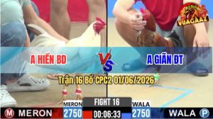 Trận 16 CPC2 01/06/2026 - Anh Hiền BD Không Cho Đối Thủ Cơ Hội Nào