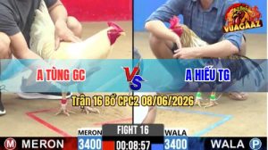 Trận 16 CPC2 08/06/2026 - Gà Cú Anh Hiếu Triệt Gãy Giò Đối Thủ