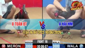 Trận 16 CPC2 10/06/2026 - Gà Anh Hai Hóc Môn Đá Chân Nào Cũng Có Cựa