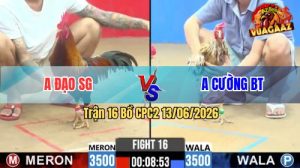 Trận 16 CPC2 14/06/2026 - Anh Cường Bất Ngờ Lật Kèo Ở Phút Cuối