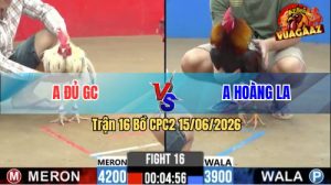 Trận 16 CPC2 15/06/2026 – Anh Đủ Không Cho Anh Hoàng Cơ Hội