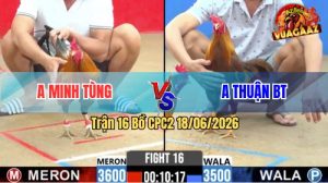 Trận 16 CPC2 18/06/2026 – Gà Anh Tùng Đá Quá Nhanh Quá Nguy Hiểm