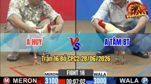 Trận 16 CPC2 28/06/2026 – Gà úa Chưa Thả Đã Dí Ăn 5 Và Cái Kết