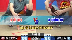 Trận 16 CPC2 29/06/2026 – Gà Que Anh Cường Đá Cựa Đâm Như Giang Hồ