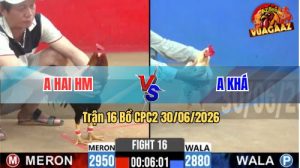 Trận 16 CPC2 30/06/2026 – Gà Điều Canh Chặn Mấy Khiến Gà Bướm Bỏ Chạy