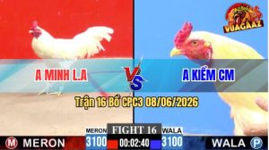 Trận 16 CPC3 08/06/2026 - Má Minh Tiếp Tục Hạ Anh Kiểm Cà Mau