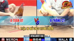 Trận 16 CPC3 11/06/2026 - Anh Toàn BT Đụng Độ Với Anh Thắng CT