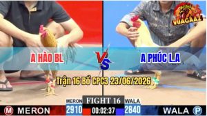 Trận 16 CPC3 23/06/2026 – Gà Bướm Anh Phúc Canh Chặn Quá Khôn Khéo