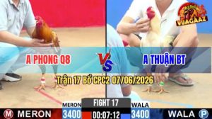 Trận 17 CPC2 07/06/2026 - Gà Úa Anh Thuận Đâm Cựa Quá Tịch