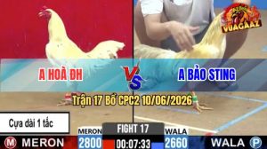 Trận 17 CPC2 10/06/2026 - Anh Hoà Đức Hoà Khắc Tinh Của Anh Bảo Sting