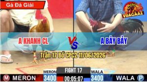 Trận 17 CPC2 11/06/2026 - Anh Bảy Bảy Đánh Bại Anh Khanh CL