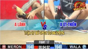 Trận 17 CPC2 14/06/2026 - Gà Điều Anh Út Thiên Đá Chỉ Trong 2 Tay Nước