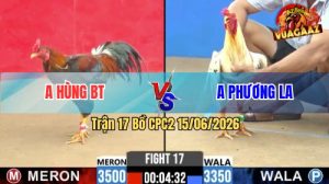 Trận 17 CPC2 15/06/2026 – Gà Điều Anh Hùng BT Giao Nạp Quá Hay