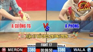 Trận 17 CPC2 28/06/2026 – Gà Bướm Anh Cường Đá 1 Chân, Xanh Hết Cứu