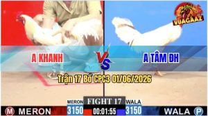 Trận 17 CPC3 01/06/2026 - Gà Anh Khanh Đá Cựa Dập Như Máy Khâu