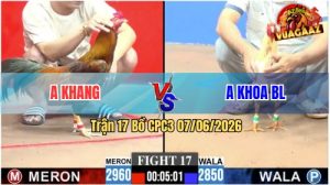 Trận 17 CPC3 07/06/2026 - Gà Anh Khang Đá 3 Chân Hạ Đối Thủ Gọn