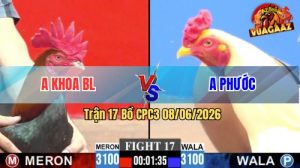Trận 17 CPC3 08/06/2026 - Gà Úa Anh Phước Đá Mấy Chân Đã Hạ Đỏ
