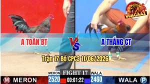 Trận 17 CPC3 11/06/2026 - Gà Điều Anh Thắng Đá Cựa Đâm Như Đời Tới
