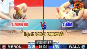 Trận 17 CPC3 13/06/2026 - Gà Bướm Anh Tâm Đá Cây Cựa Chí Mạng