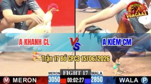 Trận 17 CPC3 15/06/2026 – Gà Điều Anh Kiểm Bươi Chà Như Cái Máy