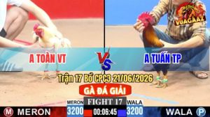 Trận 17 CPC3 21/06/2026 – Gà Úa Anh Toàn Đá 1 Chân, Xanh Sụm Nụ