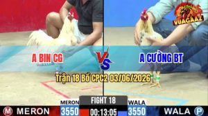 Trận 18 CPC2 03/06/2026 - Gà Anh Cường Đá Đòn Cựa Quá Nghiệt