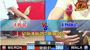 Trận 18 CPC2 08/06/2026 - Gà Chuối Anh Phán Có Chân Cựa Quá Nghiệt