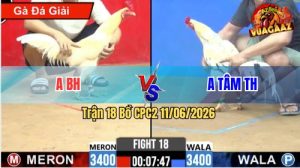 Trận 18 CPC2 11/06/2026 - Gà Anh Tâm May Độ Lật Kèo Phút Cuối