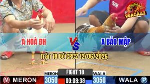 Trận 18 CPC2 12/06/2026 - Gà Úa Anh Hoà Có Chân Cựa Chí Mạng