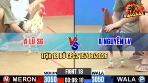 Trận 18 CPC2 15/06/2026 – Gà Bướm Anh Lũ Nạp 1 Cựa, Xanh Ngã Ngựa