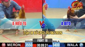 Trận 18 CPC2 25/06/2026 – Gà Điều Anh Bito Hạ Đối Thủ Nằm Một Đống