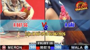 Trận 18 CPC3 01/06/2026 - Anh Đạt Sài Gòn Thắng Gọn Trước Anh Gấu