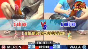 Trận 18 CPC3 08/06/2026 - Anh Phương Tóc Dài Nài Gà Cũng Chịu Thua
