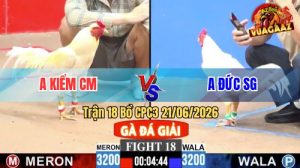 Trận 18 CPC3 21/06/2026 – Gà Bướm Anh Đức SG Đá Phản Kèo Ăn 2