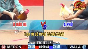 Trận 18 CPC3 23/06/2026 – Gà Điều Chân Trắng Của Hào Anh Đá Điềm Tĩnh