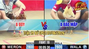 Trận 19 CPC2 02/06/2026 - Gà Khét Anh Boy Đá Cựa Đâm Quá Khủng Khiếp