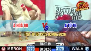 Trận 19 CPC2 03/06/2026 - Gà Úa Anh Hoà Đức Hoà Đá Quá Tốc Độ