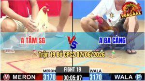 Trận 19 CPC2 07/06/2026 - Gà Xám Gồng Gánh Cứu Chủ 1 Màn Thua
