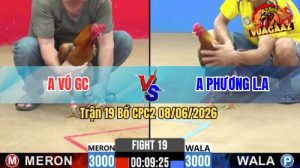 Trận 19 CPC2 08/06/2026 - Gà Xám Anh Phương Đá Đúng 3 Chân Cựa